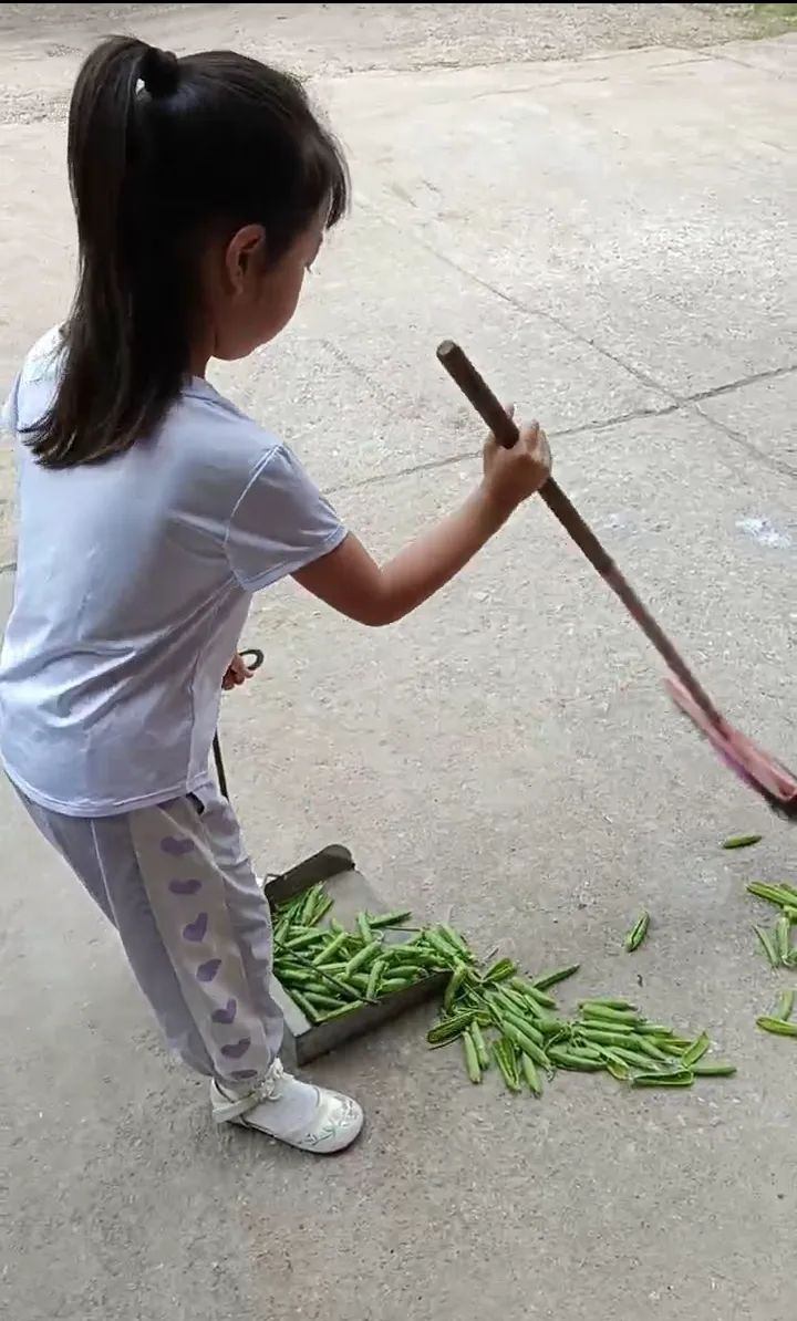 家务2.jpg